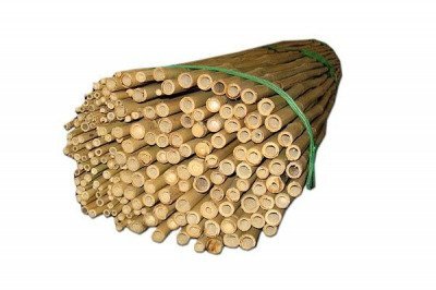 Tyczki bambusowe 180cm, średnica 14-16mm (50 szt) 